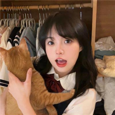哈兰·科本的庇护所