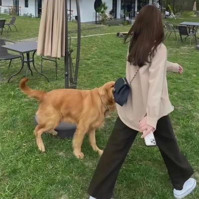 红罂粟